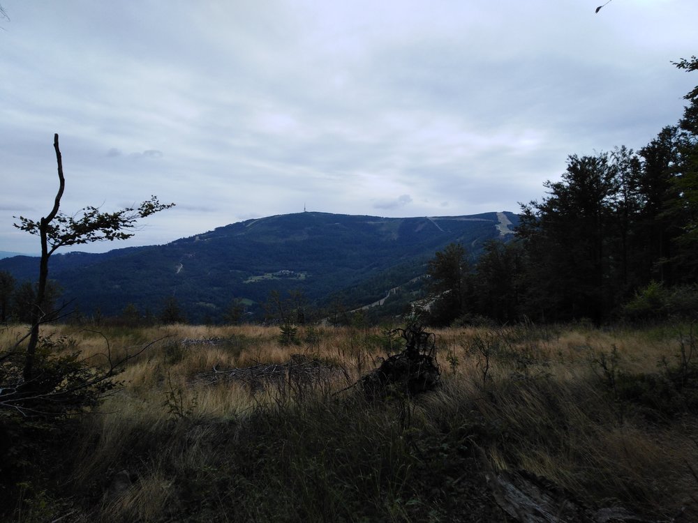 IMG_20190818_120639.jpg