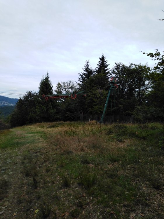 IMG_20190818_121741.jpg