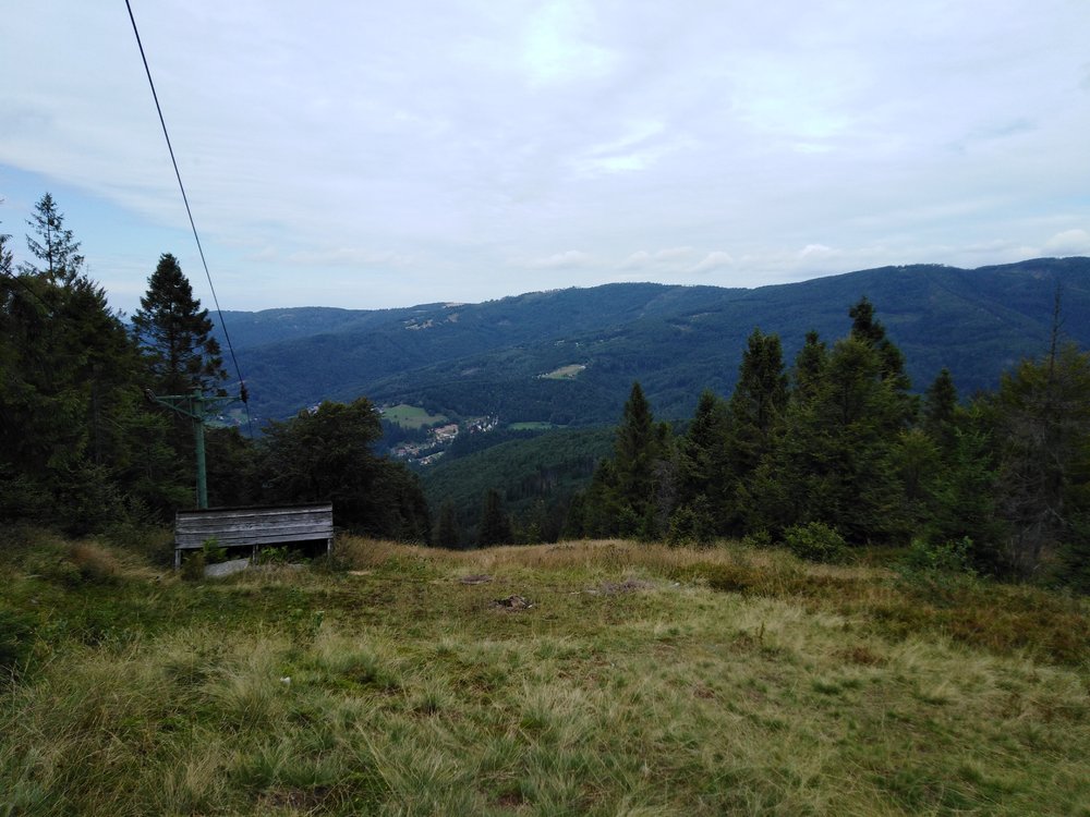 IMG_20190818_121843.jpg