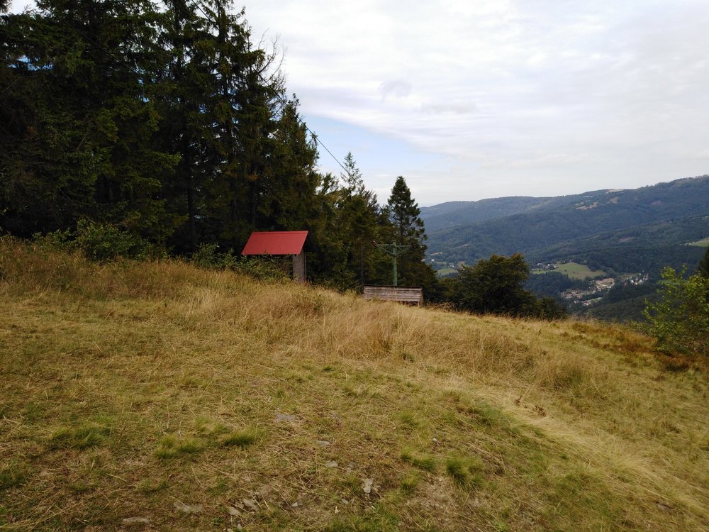 IMG_20190818_121917.jpg