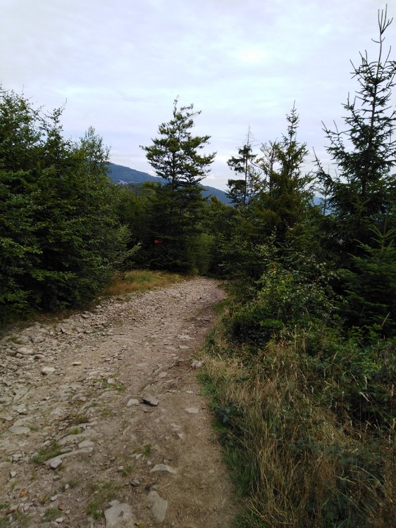 IMG_20190818_122616.jpg