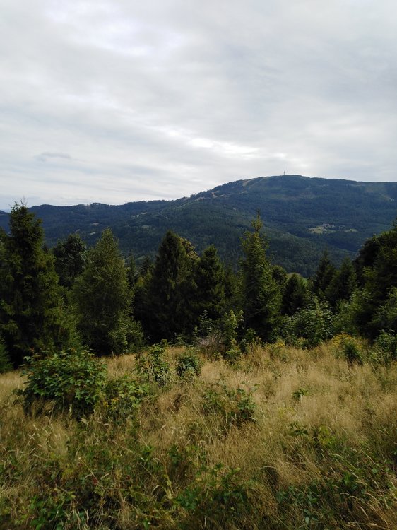 IMG_20190818_123440.jpg