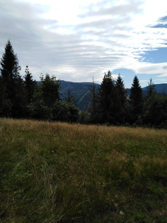 IMG_20190818_124000.jpg