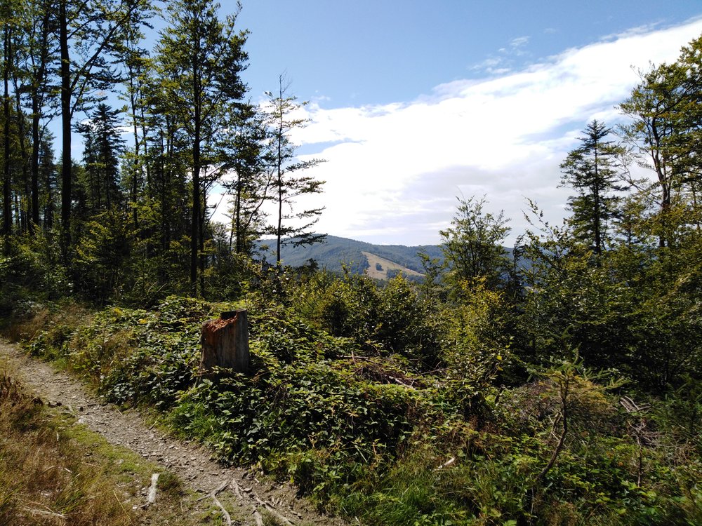 IMG_20190818_131125.jpg
