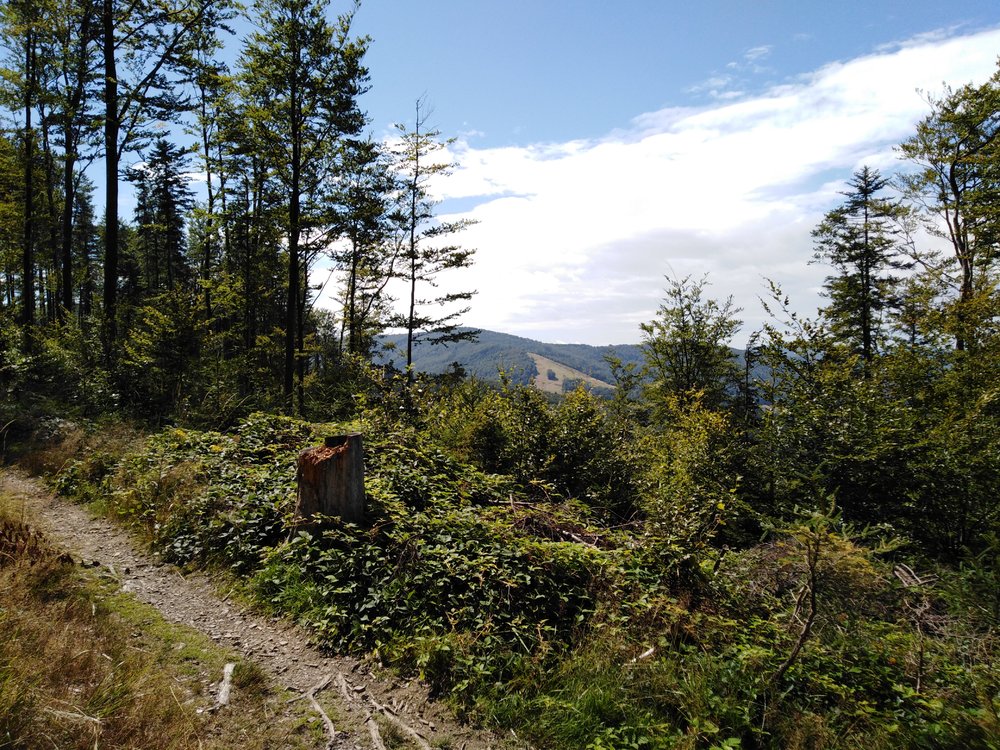IMG_20190818_131126.jpg