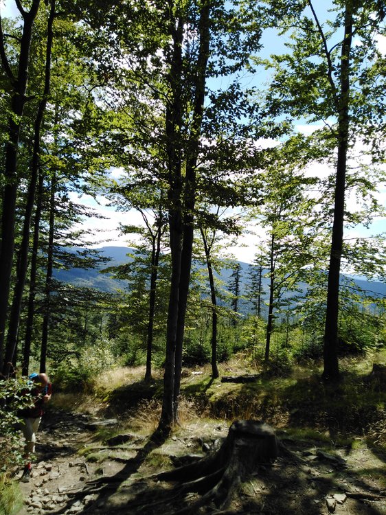 IMG_20190818_140618.jpg