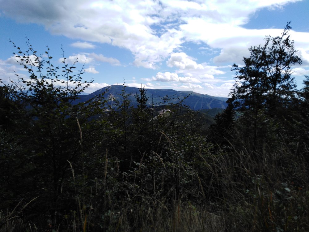 IMG_20190818_141606.jpg