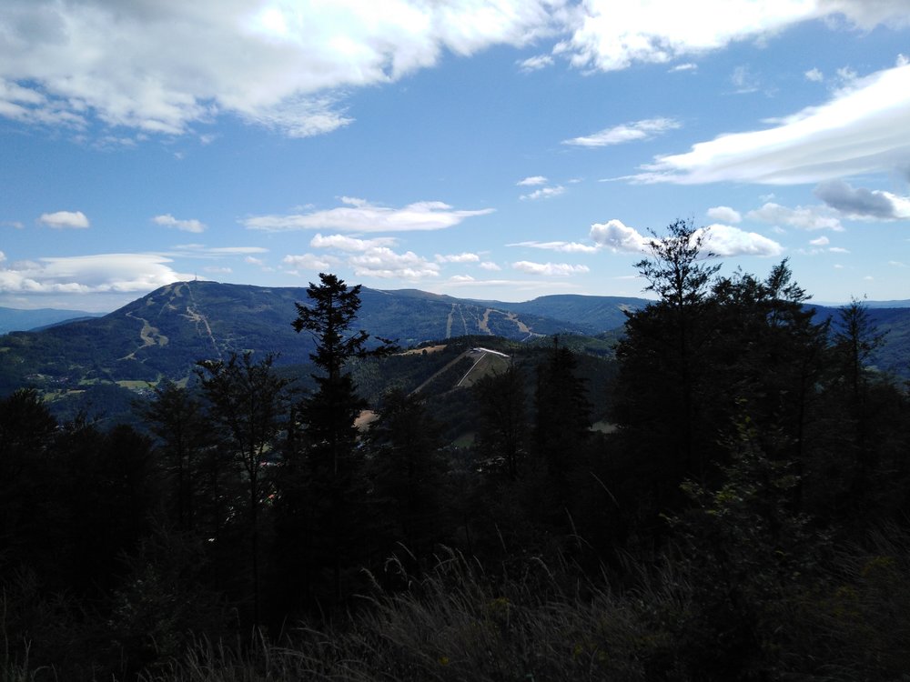 IMG_20190818_143153.jpg