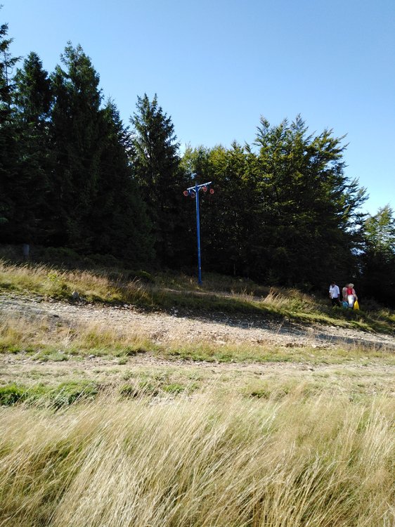 IMG_20190818_151411.jpg