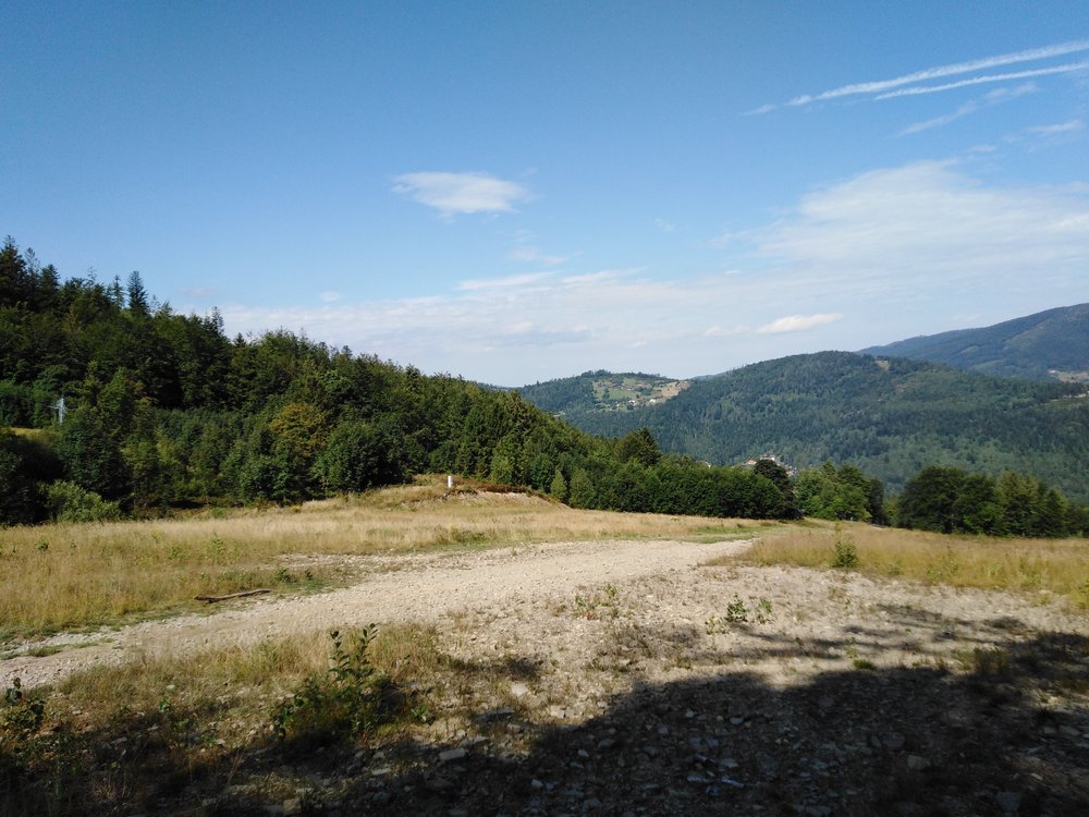 IMG_20190819_104459.jpg