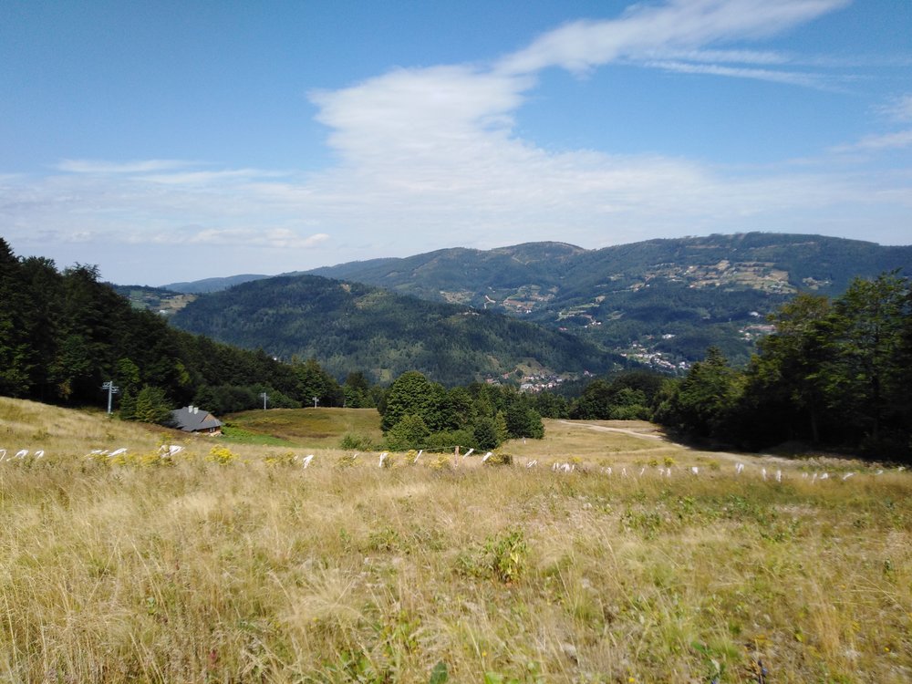 IMG_20190819_105453.jpg