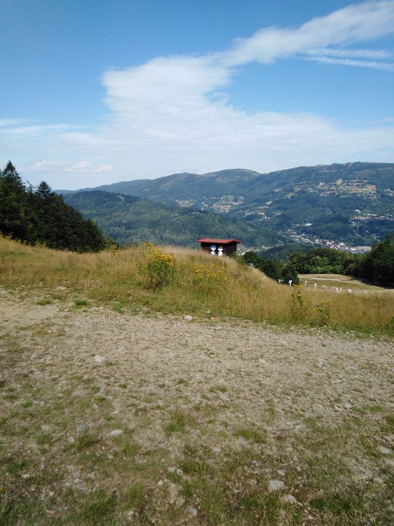 IMG_20190819_105536.jpg