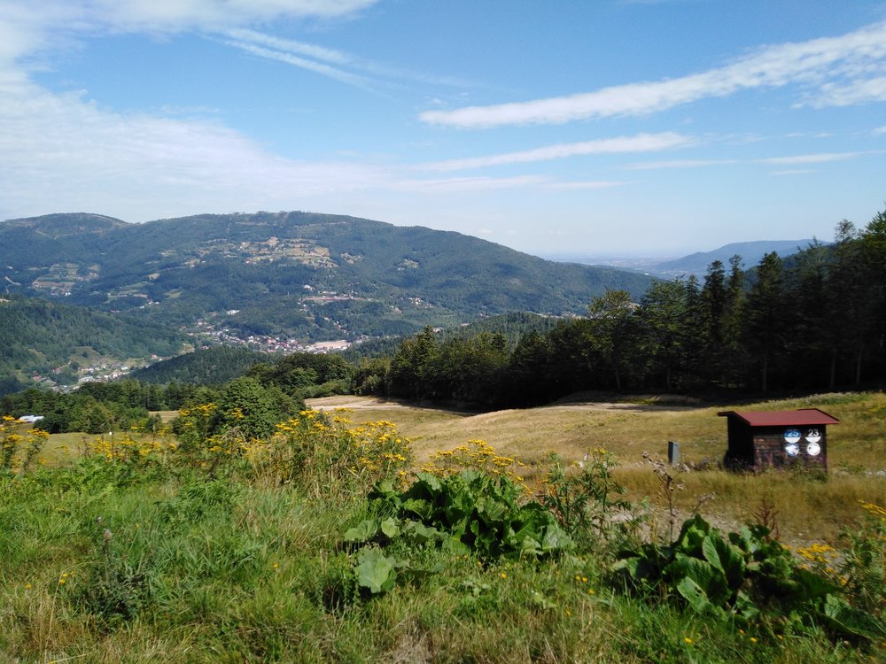 IMG_20190819_105639.jpg