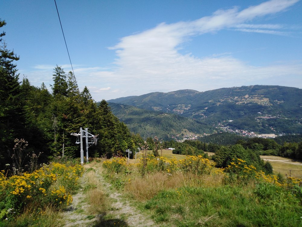 IMG_20190819_105644.jpg