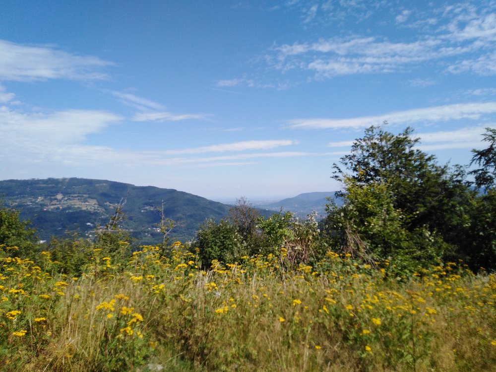IMG_20190819_110241.jpg