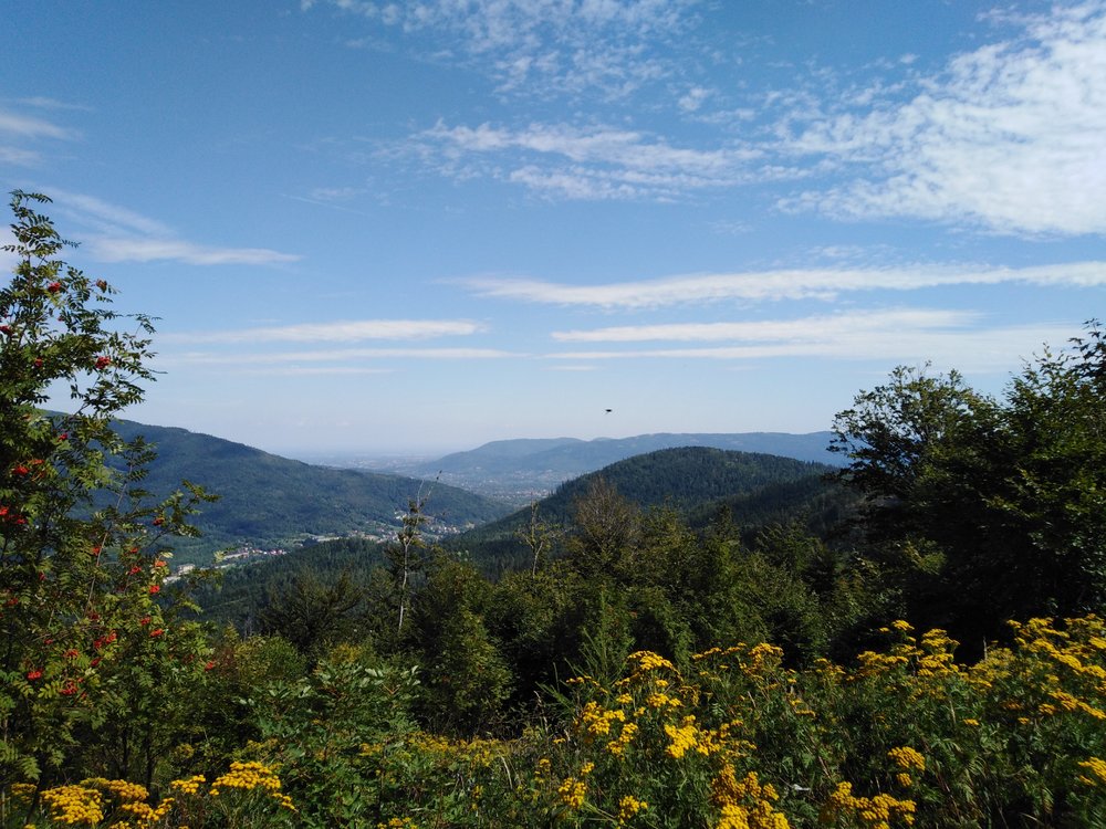 IMG_20190819_110316.jpg
