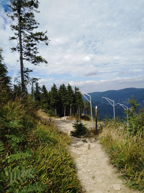 IMG_20190819_114258.jpg