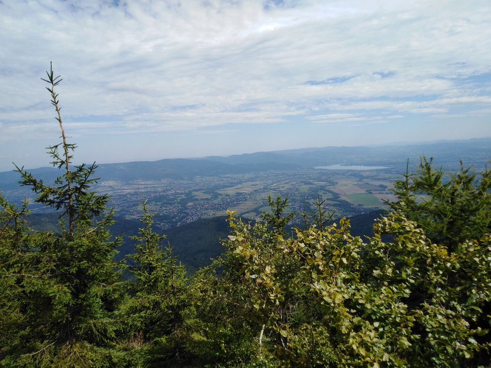 IMG_20190819_115324.jpg