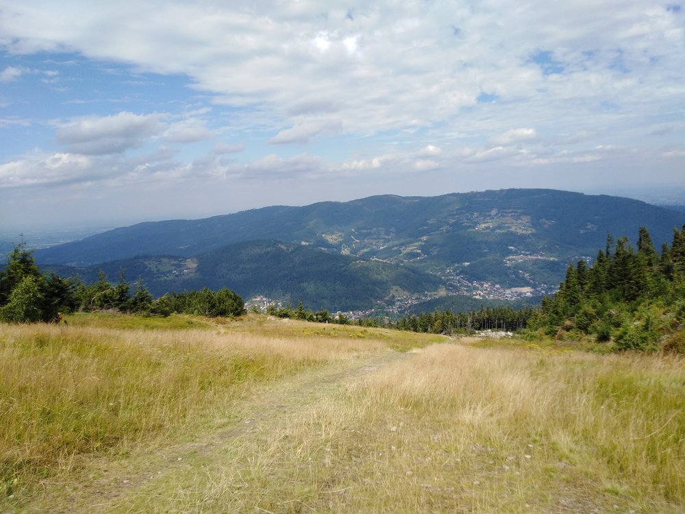 IMG_20190819_115512.jpg