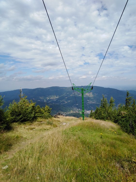 IMG_20190819_115628.jpg