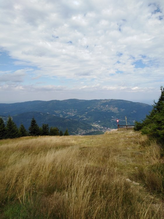 IMG_20190819_115746.jpg
