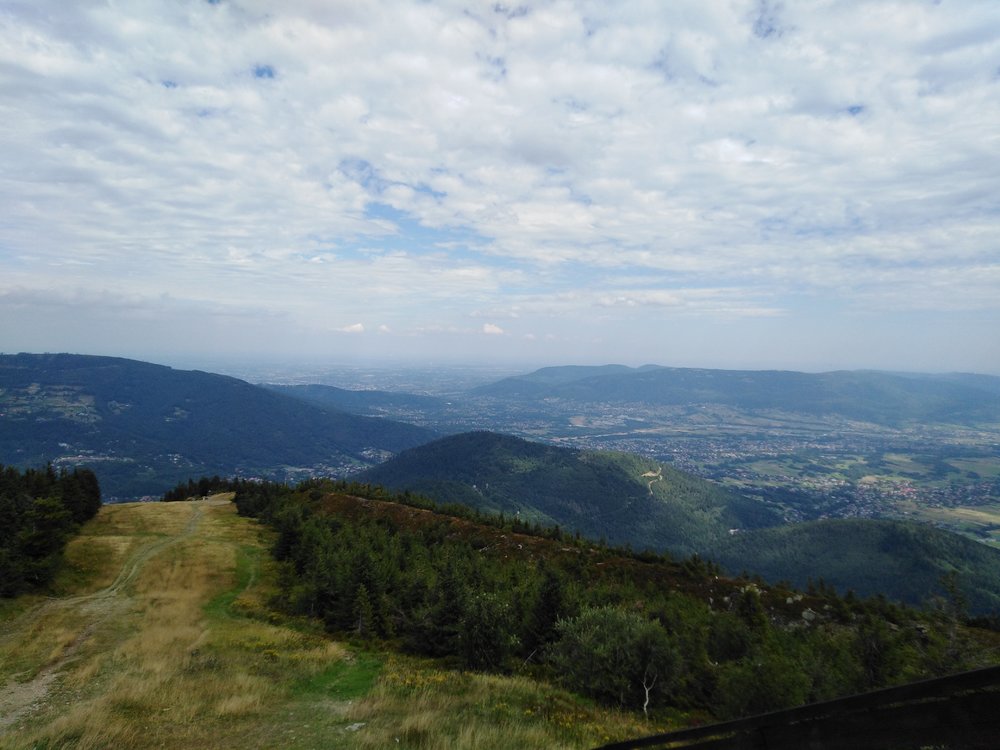 IMG_20190819_120939.jpg