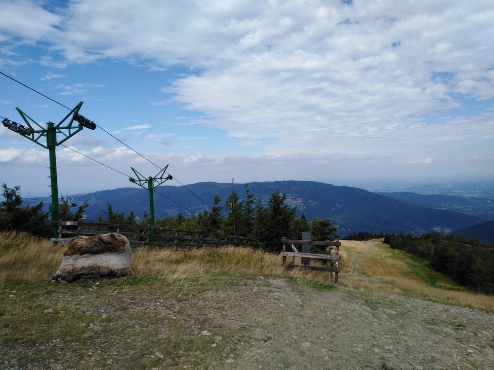 IMG_20190819_121049.jpg