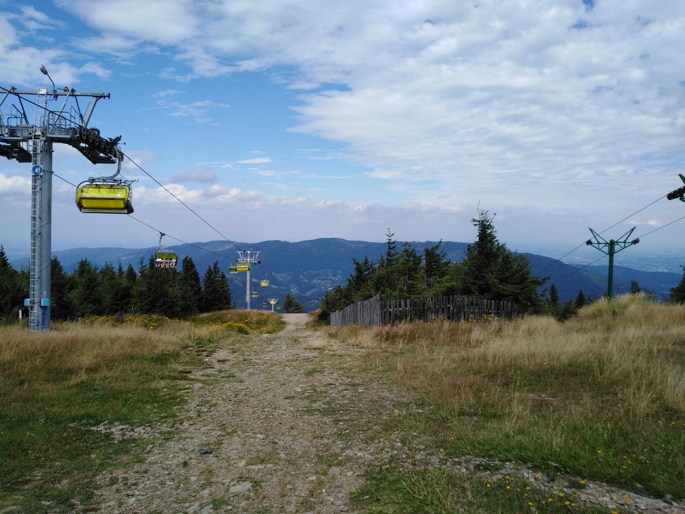 IMG_20190819_121149.jpg