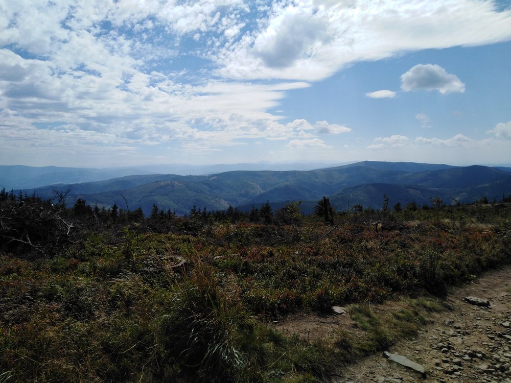 IMG_20190819_124904.jpg