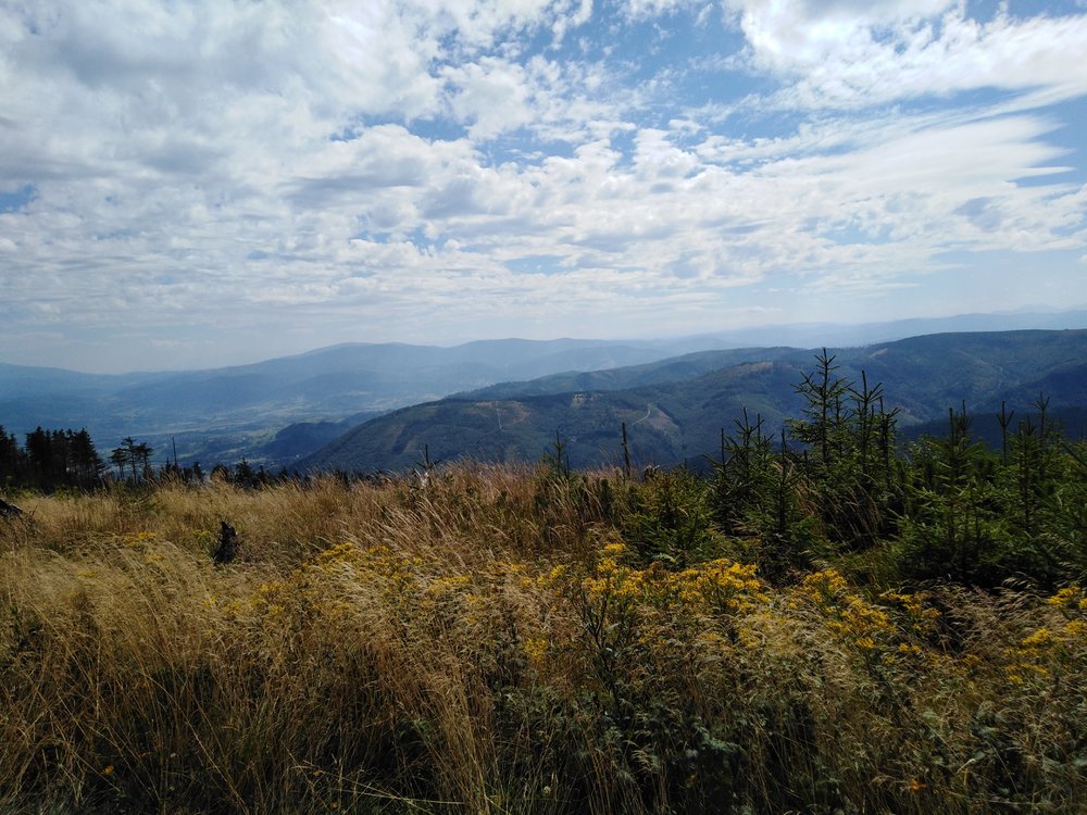IMG_20190819_125104.jpg