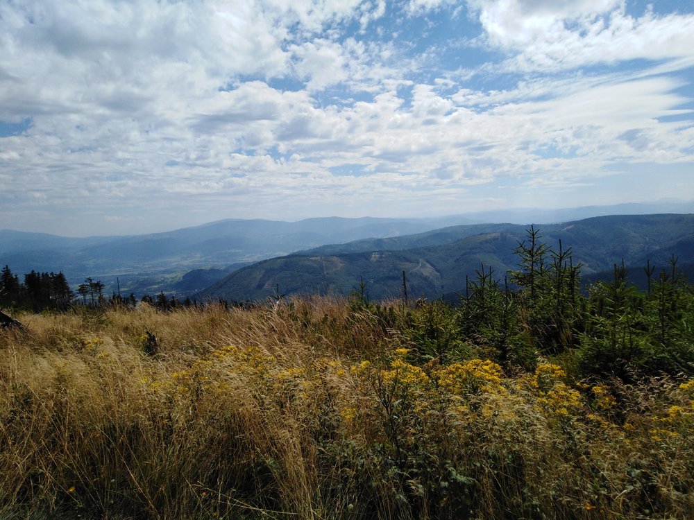 IMG_20190819_125105.jpg