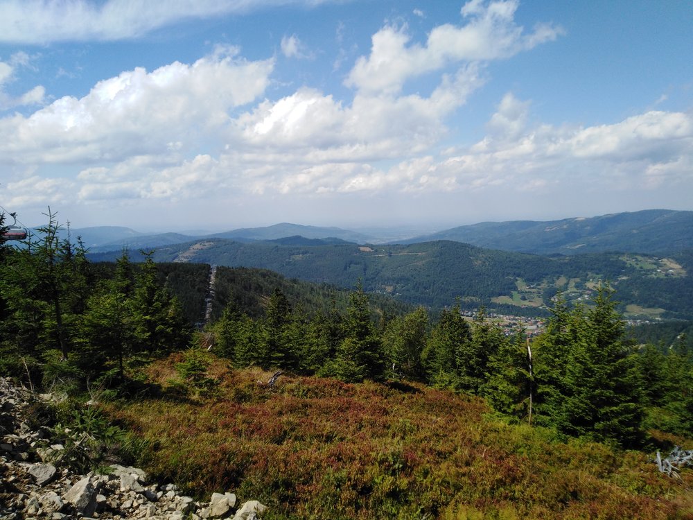 IMG_20190819_130257.jpg