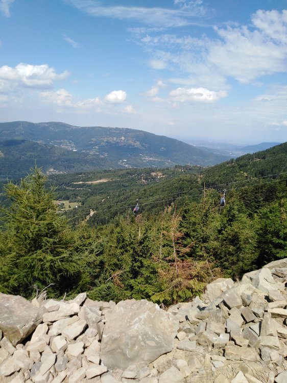 IMG_20190819_130616.jpg