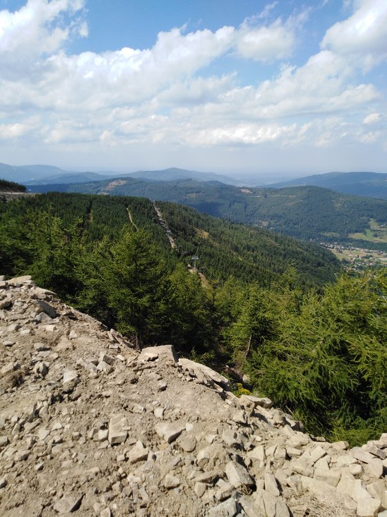 IMG_20190819_130618.jpg