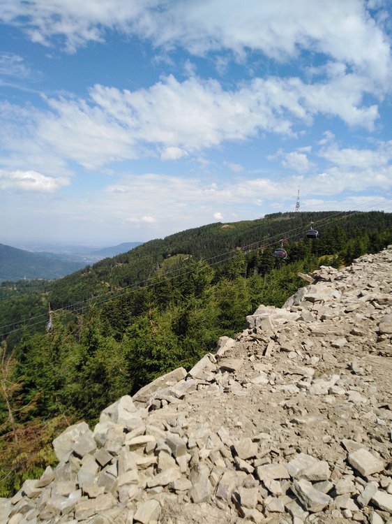 IMG_20190819_130622.jpg