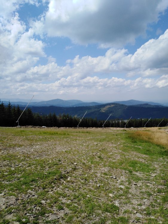 IMG_20190819_131728.jpg