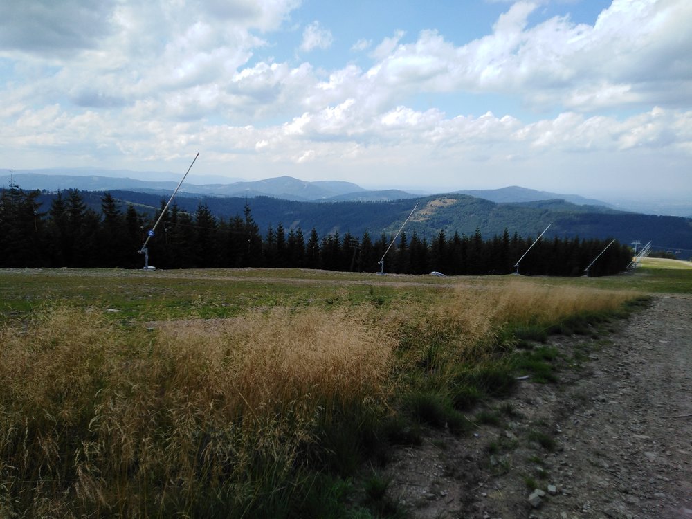 IMG_20190819_131825.jpg