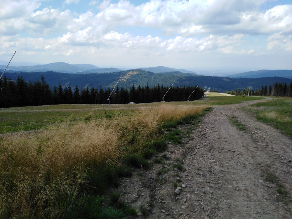 IMG_20190819_131826.jpg