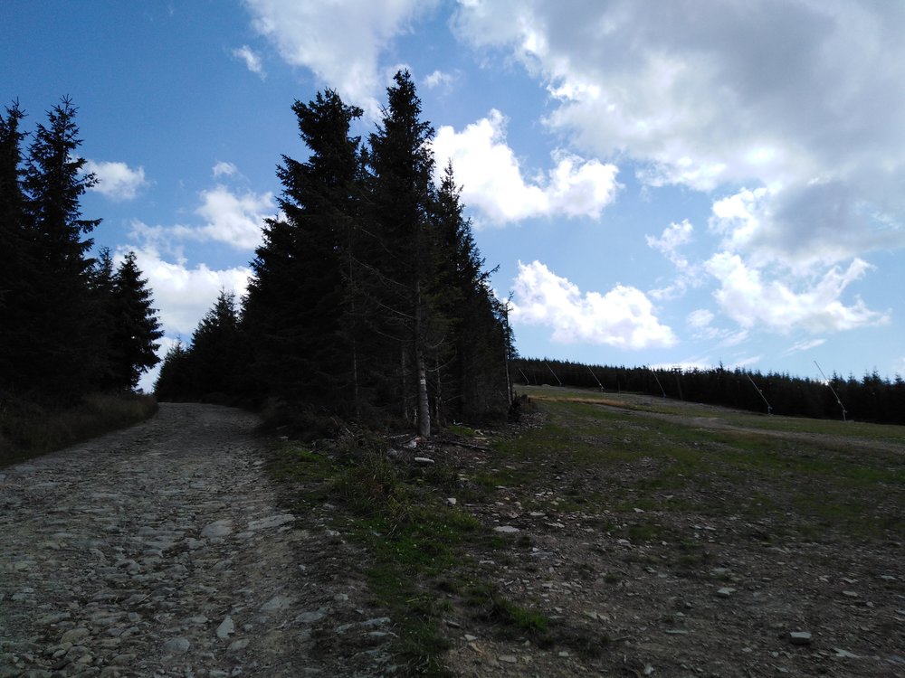 IMG_20190819_132056.jpg