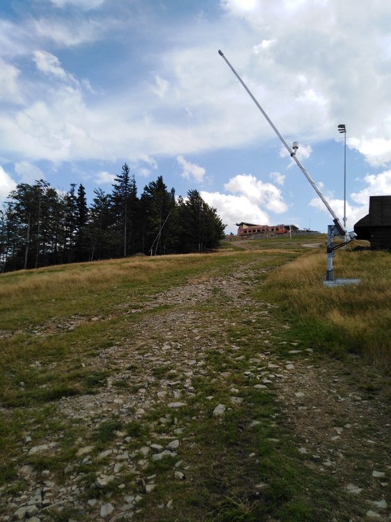 IMG_20190819_133757.jpg
