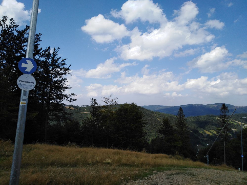 IMG_20190819_134149.jpg