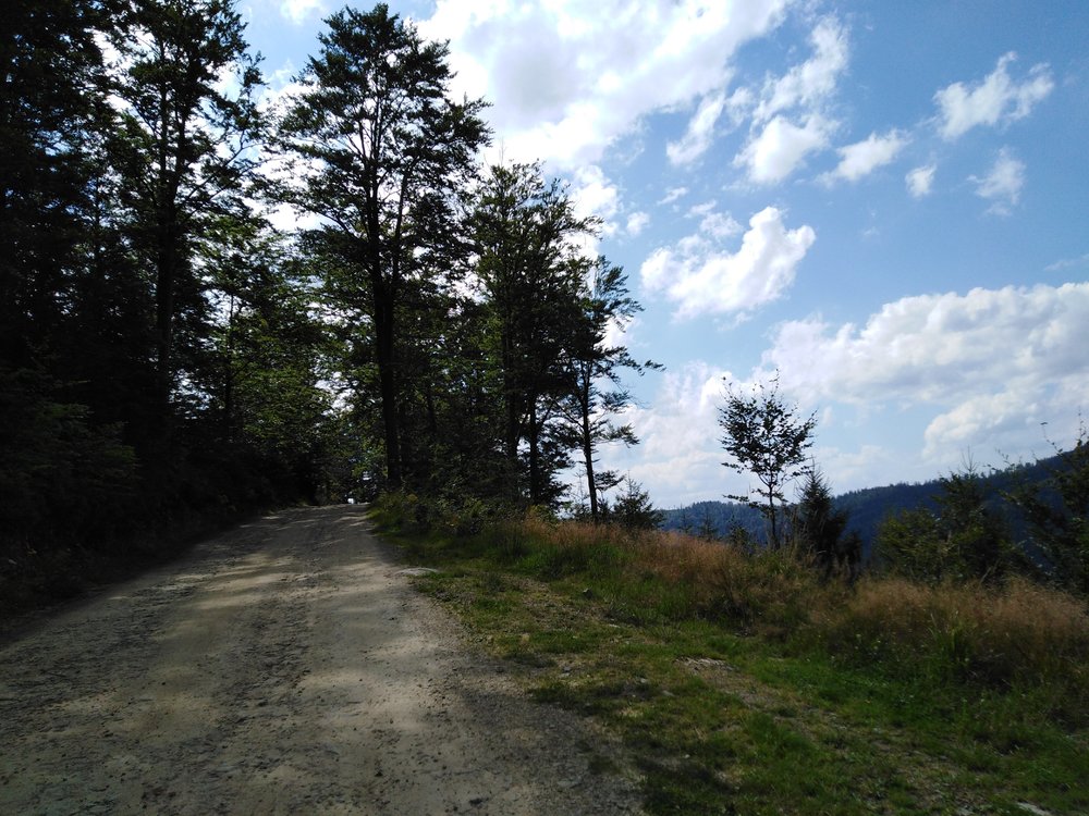 IMG_20190819_134439.jpg
