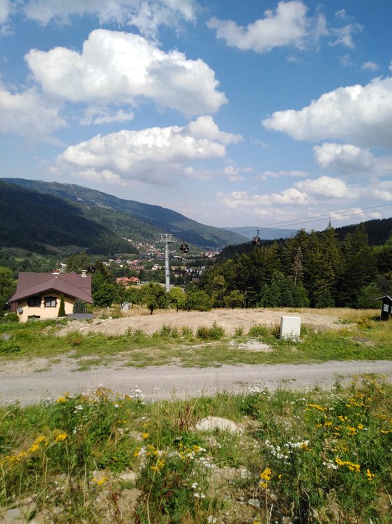 IMG_20190819_140314.jpg