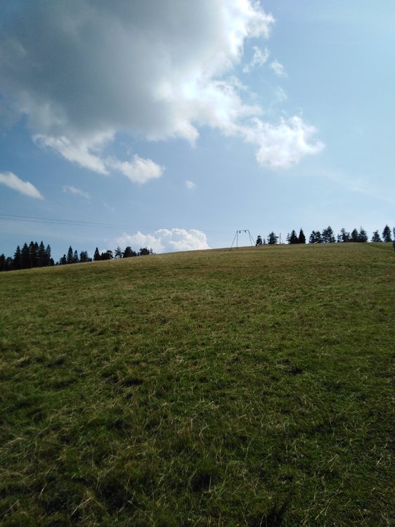 IMG_20190824_142629.jpg