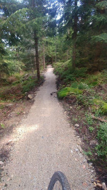 20190911_141004.jpg