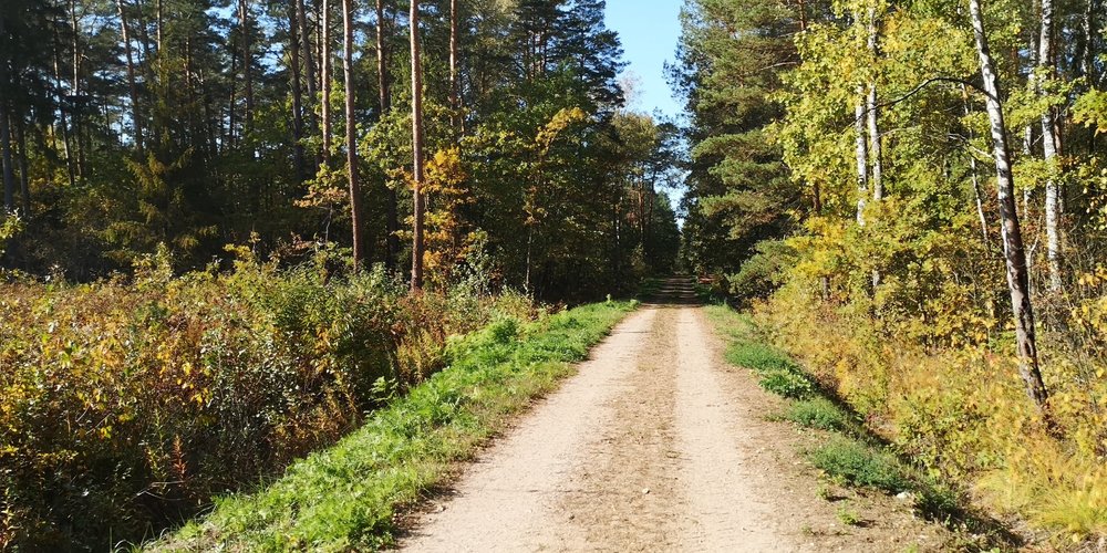 IMG_20191012_113449.thumb.jpg.be39fee44ef0f30b6aa78710e9913093.jpg
