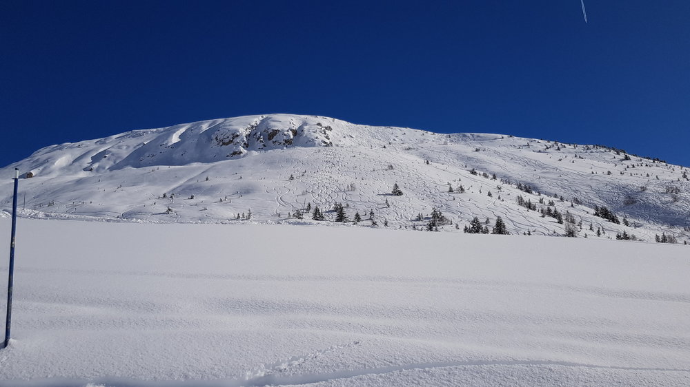 20190204_121650.jpg