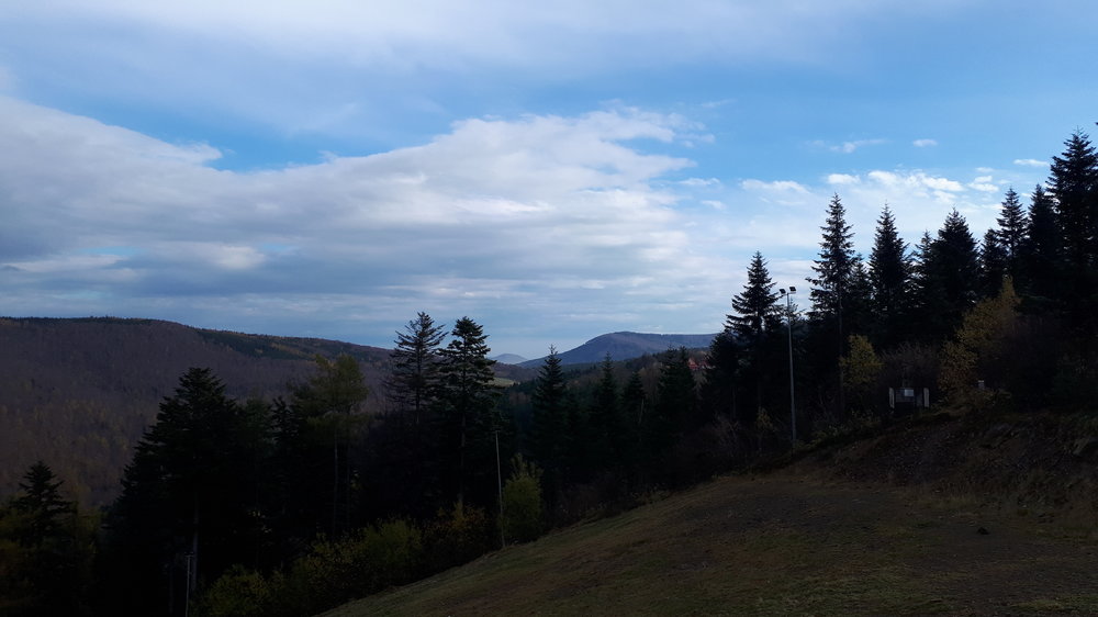 20191109_103755.jpg