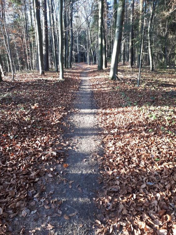 20191117_134616.jpg