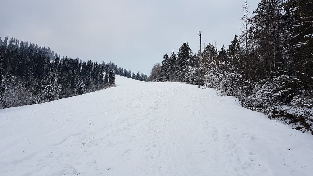 1575739288_Maciejowa7.thumb.jpg.1a96cf0df5af5709b0572f83ec148446.jpg